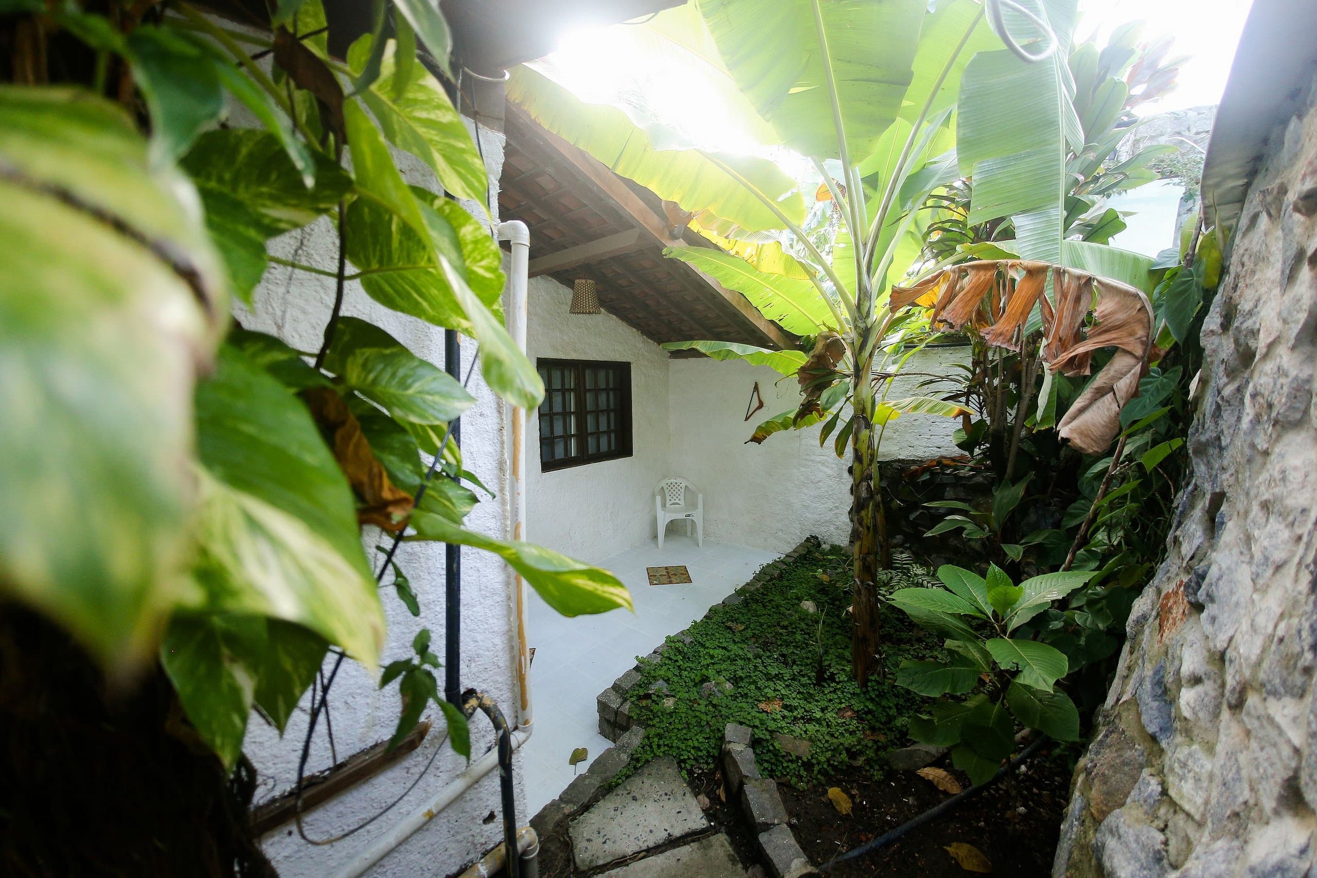 Jardin